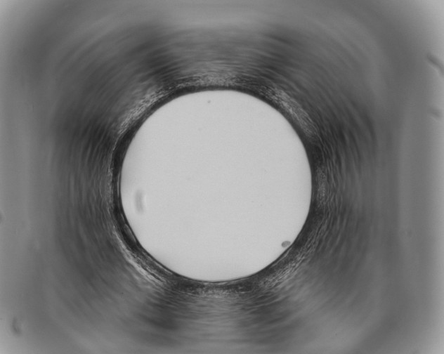 X0000096720677200803041402