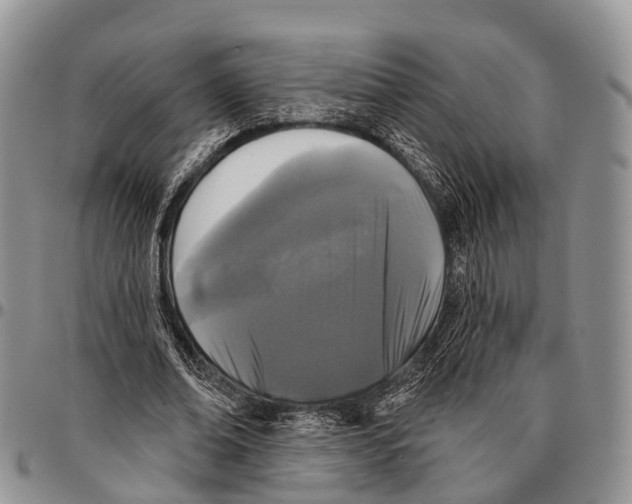 X0000096720678200803041402