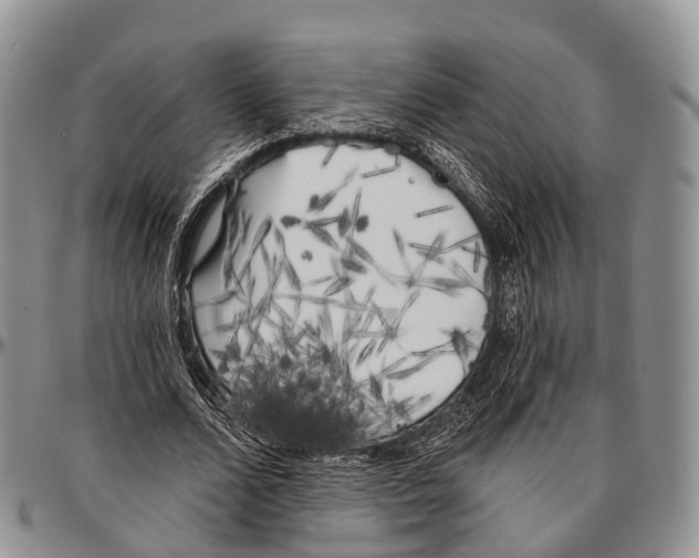 X0000096720680200803041402