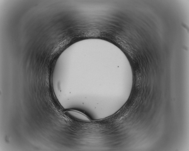 X0000096720681200803041402