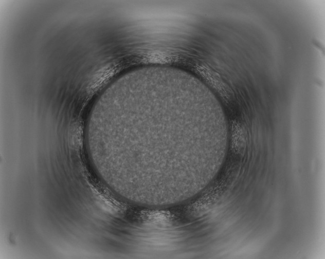 X0000096720683200803041402