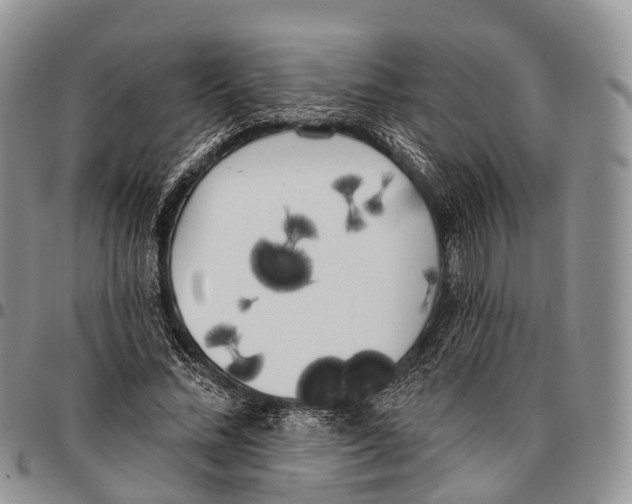 X0000096720684200803041402