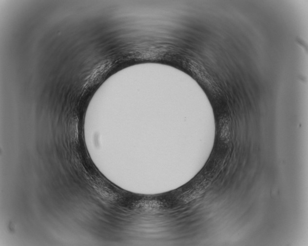 X0000096720685200803041402