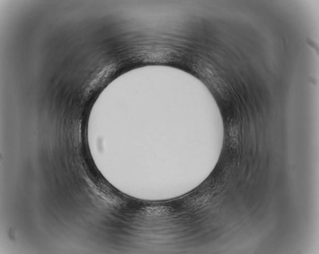 X0000096720686200803041402