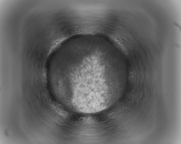 X0000096720688200803041402