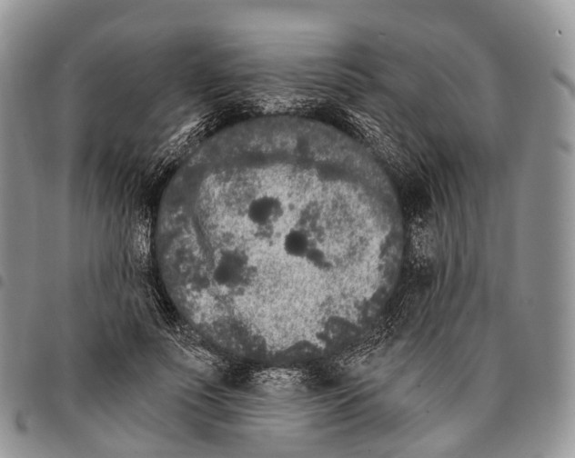 X0000096720691200803041402