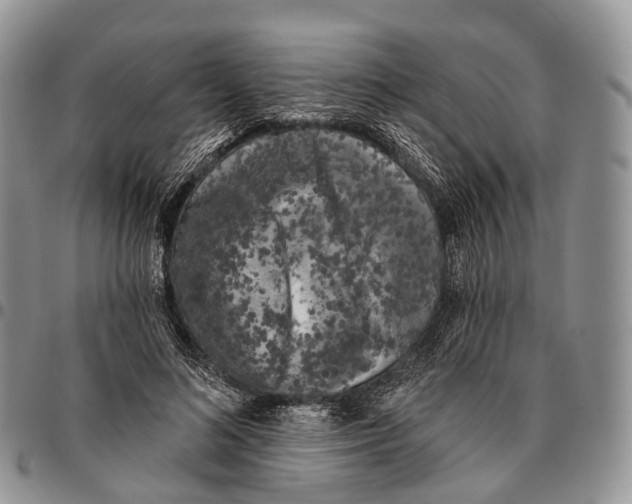 X0000096720692200803041402