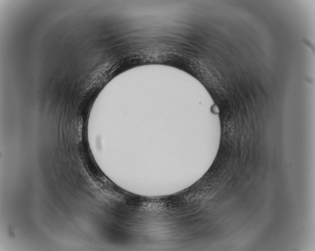 X0000096720694200803041402