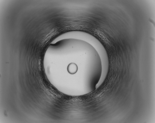 X0000096720696200803041402