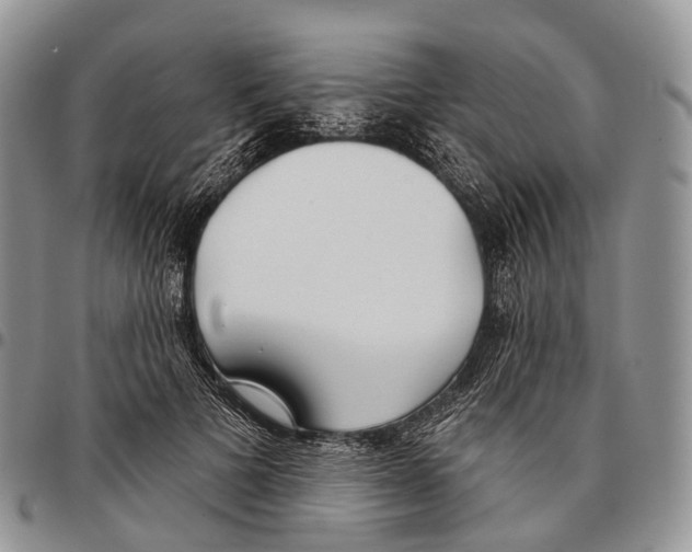 X0000096720697200803041402