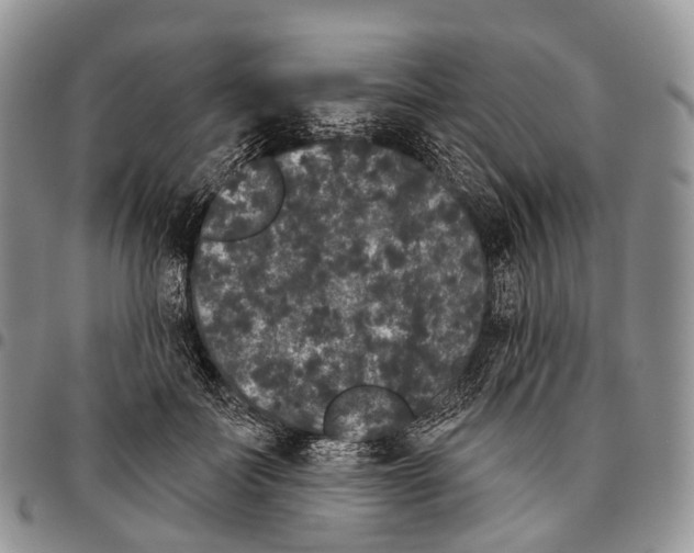 X0000096720699200803041402