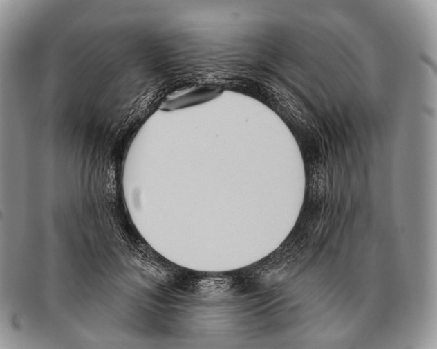 X0000096720700200803041402