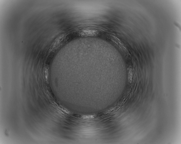 X0000096720701200803041402