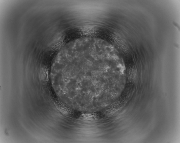 X0000096720703200803041402