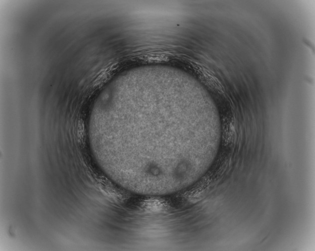 X0000096720704200803041402