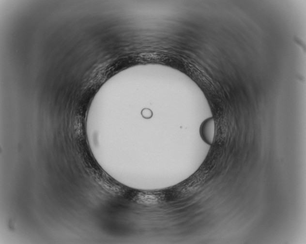 X0000096720706200803041402