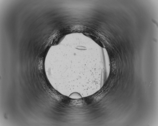 X0000096720708200803041402