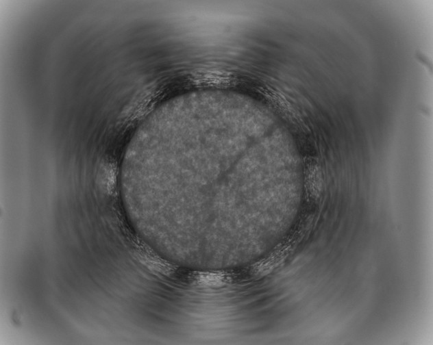 X0000096720709200803041402