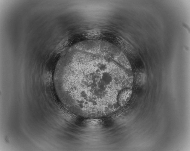 X0000096720711200803041402