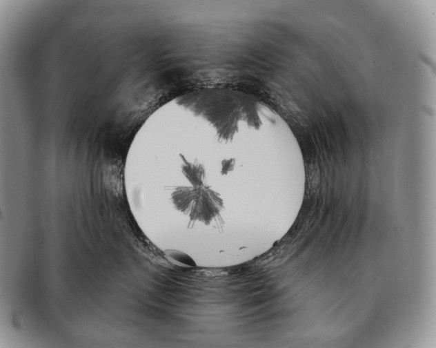 X0000096720719200803041402