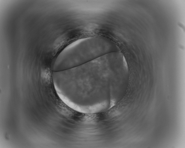 X0000096720720200803041402