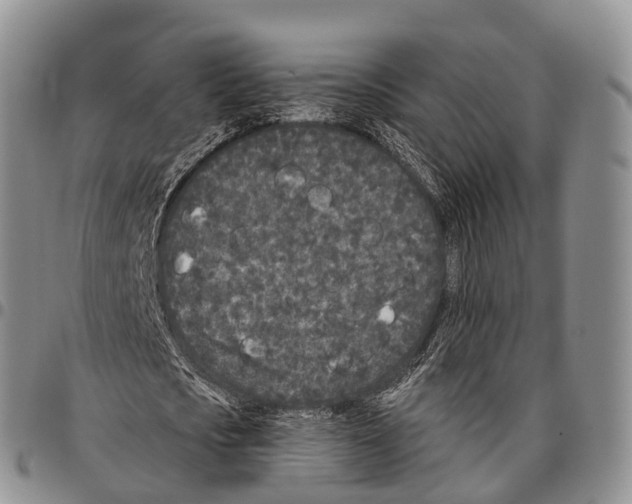 X0000096720721200803041401