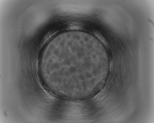 X0000096720722200803041401