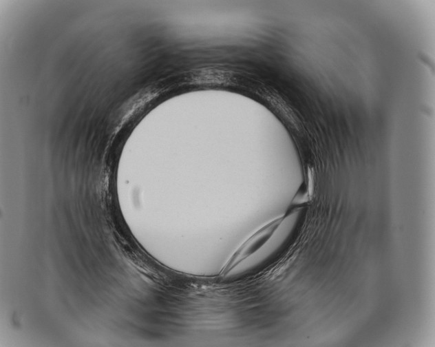 X0000096720723200803041401