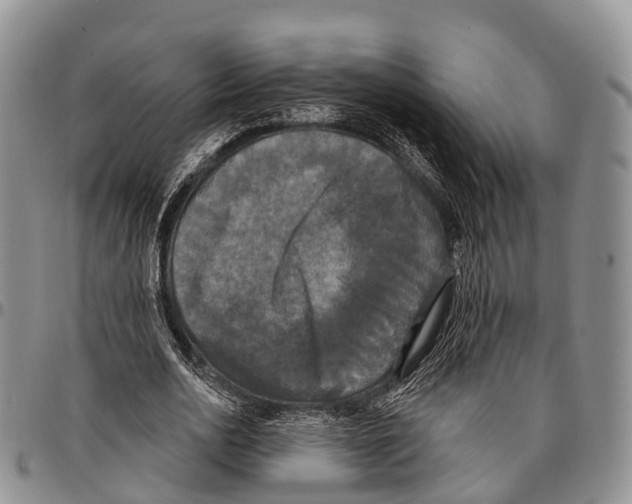 X0000096720726200803041401