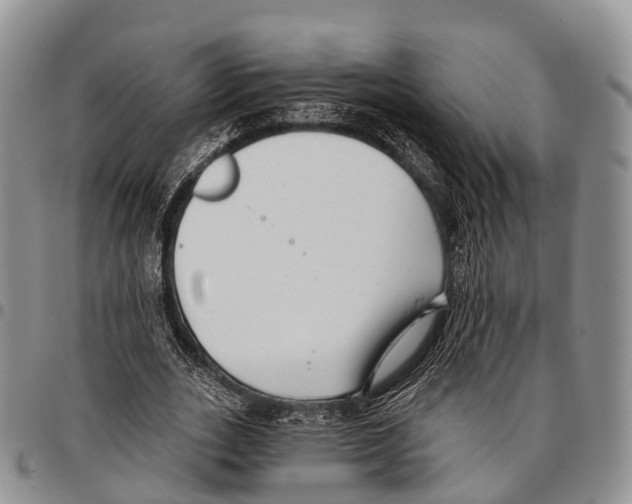 X0000096720727200803041401