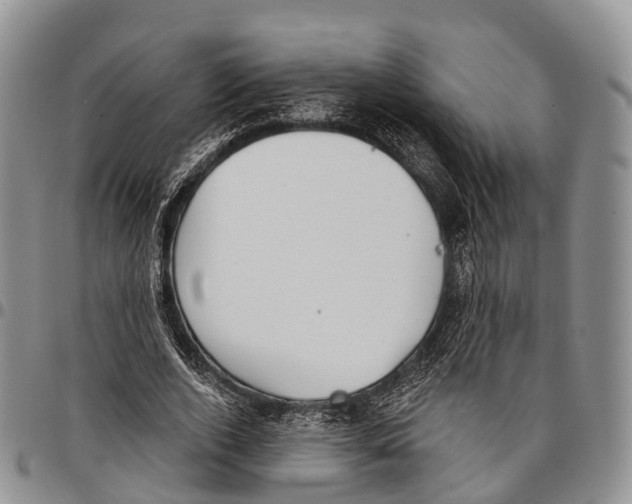 X0000096720728200803041401