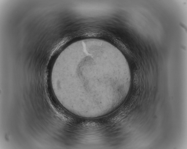 X0000096720730200803041401