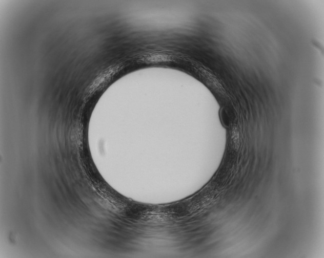 X0000096720732200803041401