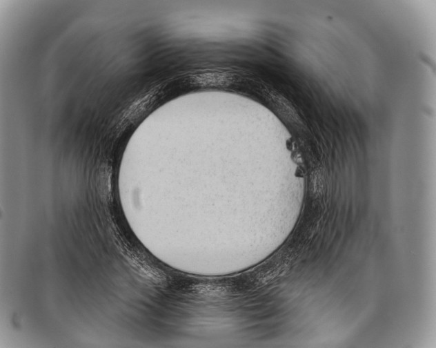 X0000096720733200803041401