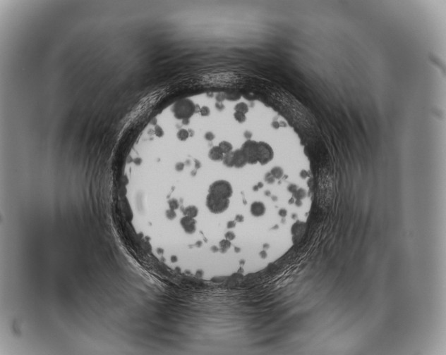 X0000096720734200803041401