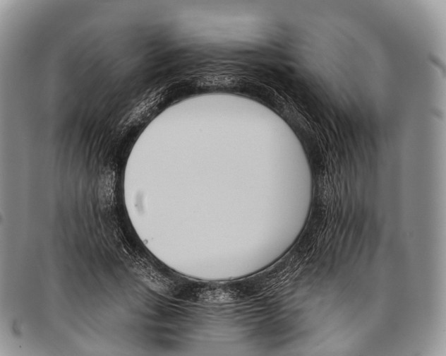 X0000096720735200803041401