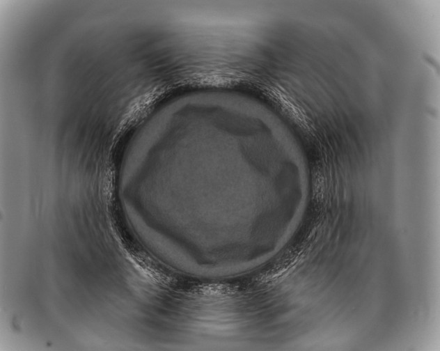 X0000096720736200803041401