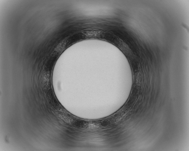 X0000096720737200803041401