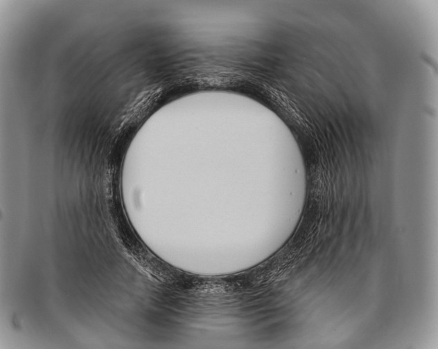 X0000096720738200803041401