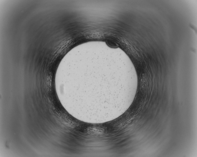 X0000096720739200803041401