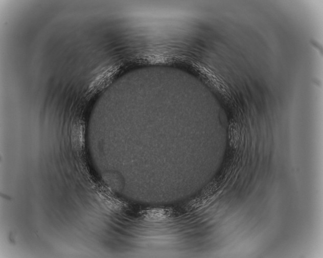 X0000096720740200803041401