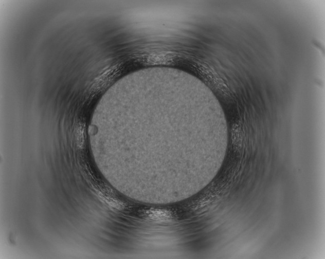 X0000096720741200803041401