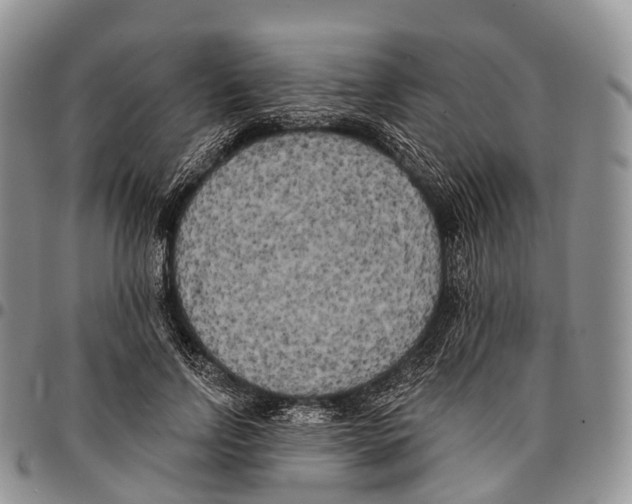 X0000096720742200803041401