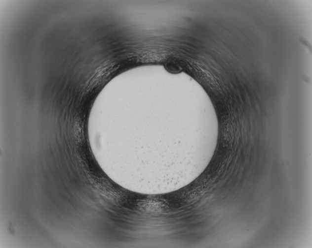 X0000096720743200803041401