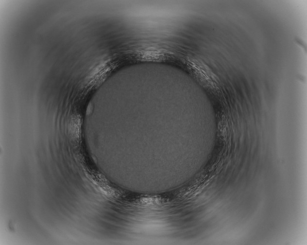 X0000096720744200803041401