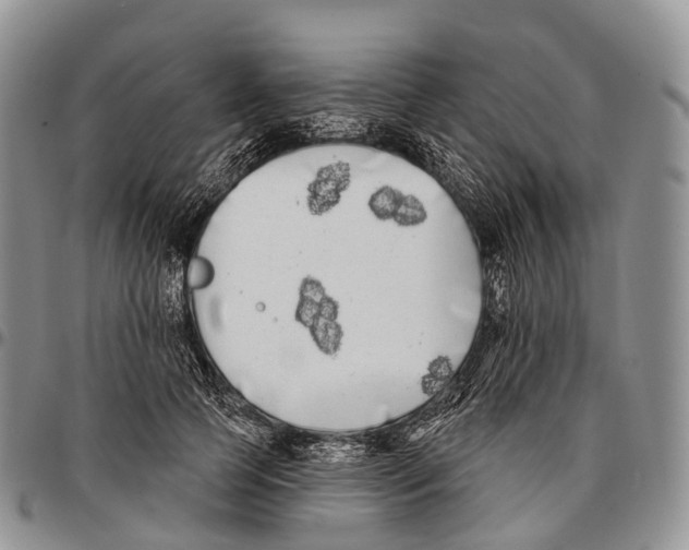 X0000096720745200803041401