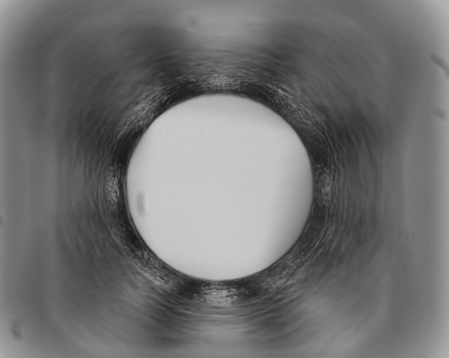 X0000096720746200803041401