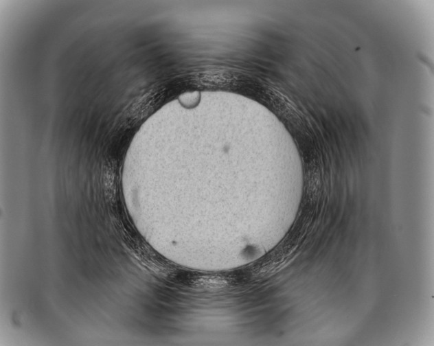 X0000096720749200803041401