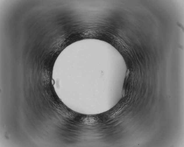 X0000096720751200803041401