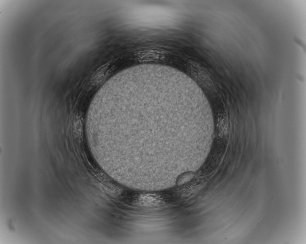 X0000096720753200803041401